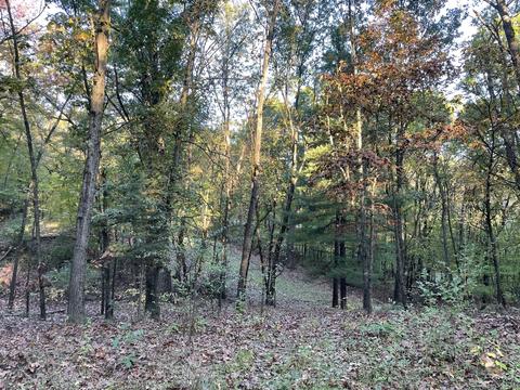 333 Barron Dr NE, Ada, MI 49301 photo 1