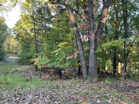 333 Barron Dr NE, Ada, MI 49301 photo 6