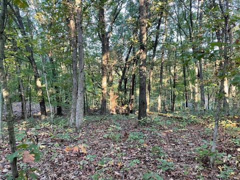 333 Barron Dr NE, Ada, MI 49301 photo 5