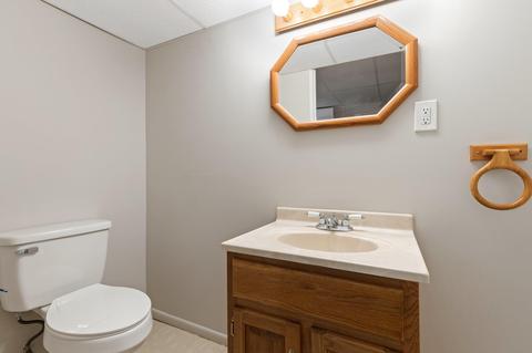 6541 Bluebird Ct, Jackson, MI 49201 photo 23