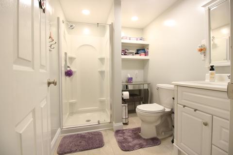 2329 Stone Field Dr, Flushing, MI 48433 photo 50