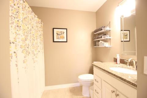 2329 Stone Field Dr, Flushing, MI 48433 photo 28