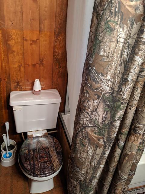 9690 80th Ave, Evart, MI 49631 photo 16