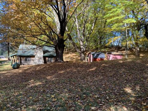 9690 80th Ave, Evart, MI 49631 photo 23