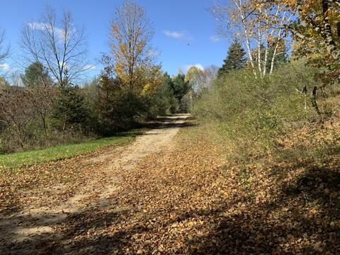 9690 80th Ave, Evart, MI 49631 photo 20