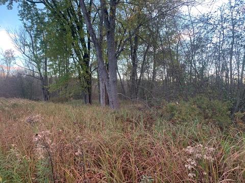 2951 S 30th Ave, Sears, MI 49679 photo 16