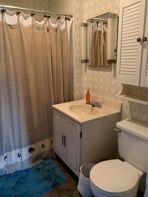 2951 S 30th Ave, Sears, MI 49679 photo 42