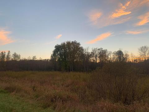 2951 S 30th Ave, Sears, MI 49679 photo 18