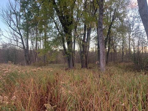 2951 S 30th Ave, Sears, MI 49679 photo 17