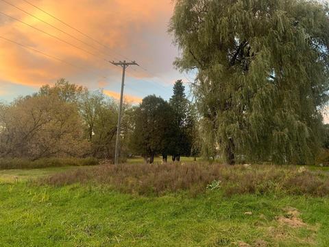 2951 S 30th Ave, Sears, MI 49679 photo 25