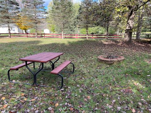 10601 Clyde Rd, Mesick, MI 49668 photo 7