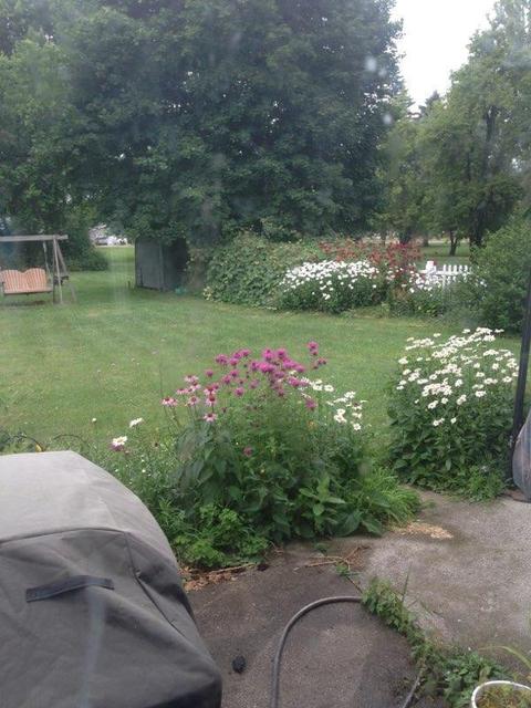 831 E North St, Ithaca, MI 48847 photo 30