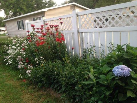 831 E North St, Ithaca, MI 48847 photo 29