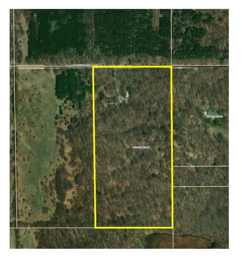 4388 Edgar Rd, Edmore, MI 48829 photo 28