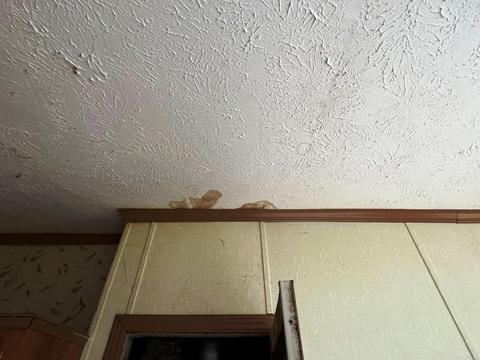 421 S Pine St, Evart, MI 49631 photo 40