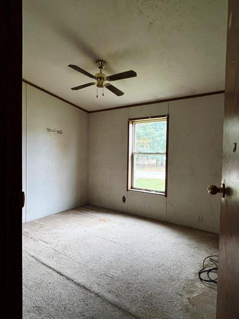 421 S Pine St, Evart, MI 49631 photo 37