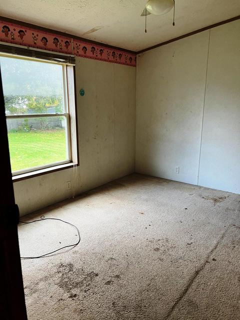 421 S Pine St, Evart, MI 49631 photo 38