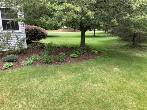 1262 Levant St, Jackson, MI 49203 photo 37
