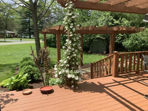1262 Levant St, Jackson, MI 49203 photo 30