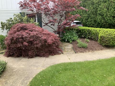 1262 Levant St, Jackson, MI 49203 photo 39