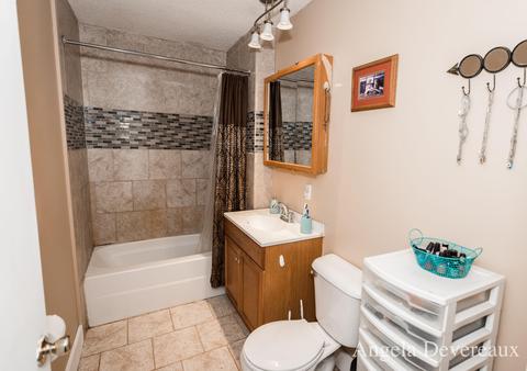 108 E Lake St, Stanton, MI 48888 photo 16