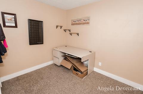 108 E Lake St, Stanton, MI 48888 photo 21