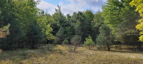 1275 E Clock Rd, Hart, MI 49420 photo 40