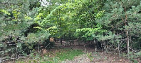1275 E Clock Rd, Hart, MI 49420 photo 39