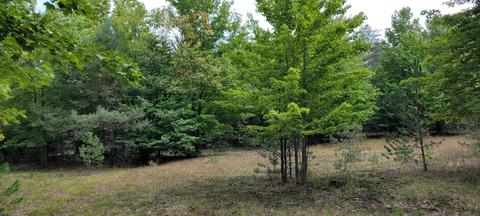 1275 E Clock Rd, Hart, MI 49420 photo 38