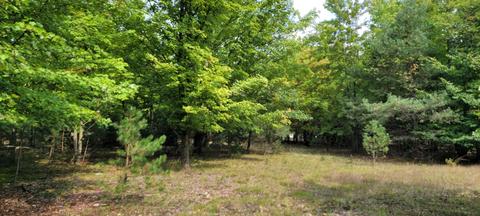 1275 E Clock Rd, Hart, MI 49420 photo 37