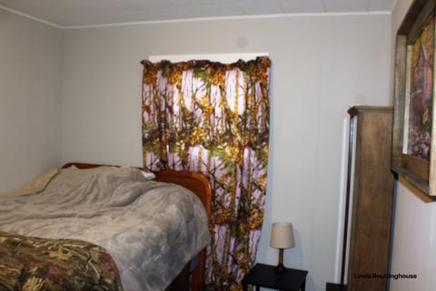7832 W Stanton Rd, Stanton, MI 48888 photo 26