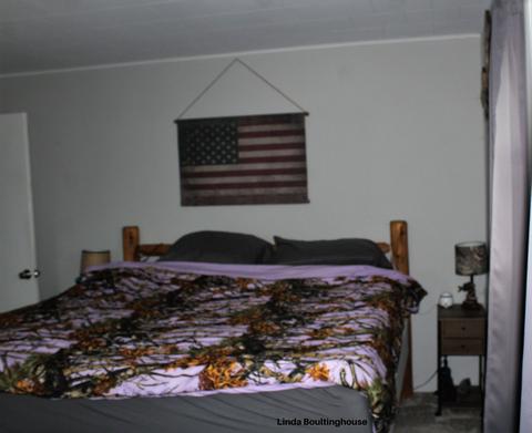 7832 W Stanton Rd, Stanton, MI 48888 photo 22