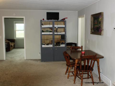 7832 W Stanton Rd, Stanton, MI 48888 photo 14