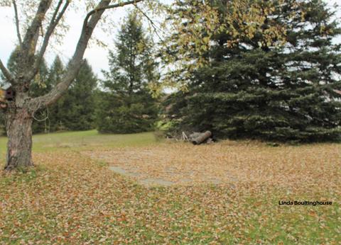7832 W Stanton Rd, Stanton, MI 48888 photo 9