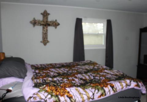 7832 W Stanton Rd, Stanton, MI 48888 photo 23