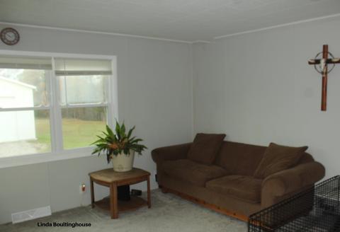 7832 W Stanton Rd, Stanton, MI 48888 photo 18