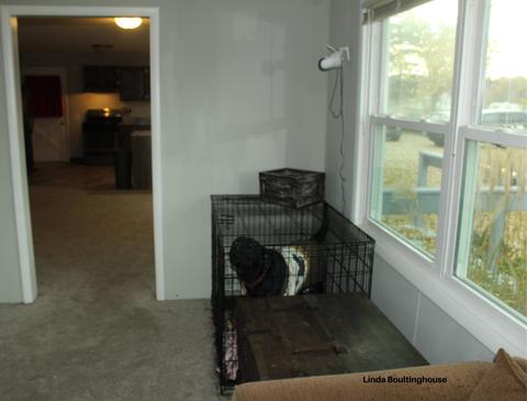7832 W Stanton Rd, Stanton, MI 48888 photo 17