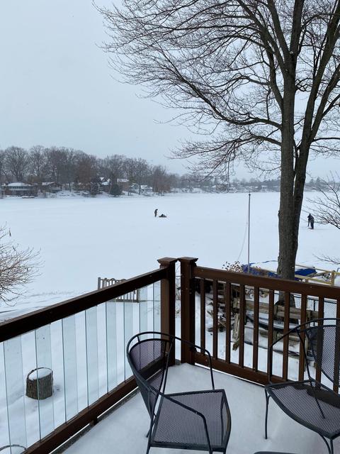 1406 White Birch Dr, Stanton, MI 48888 photo 60