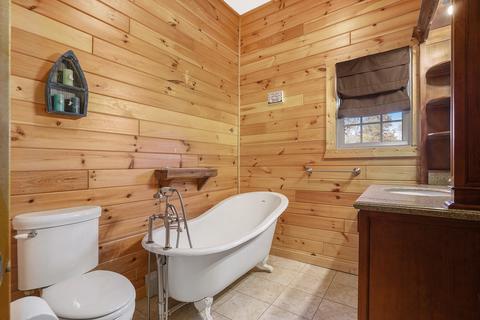 1406 White Birch Dr, Stanton, MI 48888 photo 35