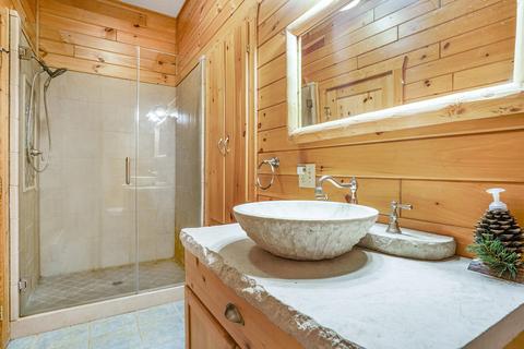 1406 White Birch Dr, Stanton, MI 48888 photo 28
