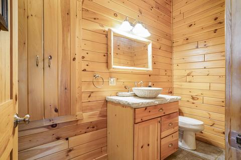 1406 White Birch Dr, Stanton, MI 48888 photo 27