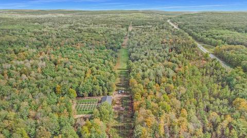 3864 Us 10, Chase, MI 49623 photo 6