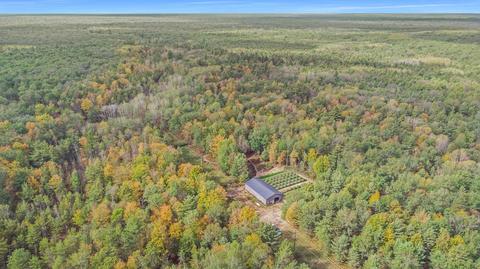 3864 Us 10, Chase, MI 49623 photo 1