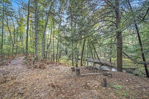 3864 Us 10, Chase, MI 49623 photo 28