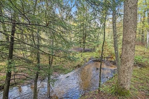 3864 Us 10, Chase, MI 49623 photo 31