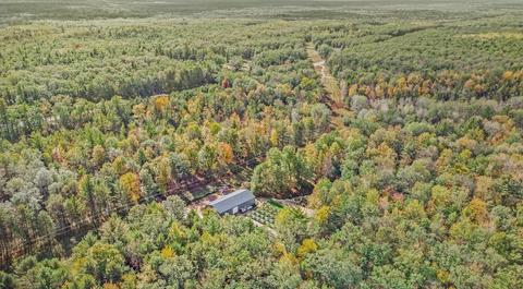 3864 Us 10, Chase, MI 49623 photo 8