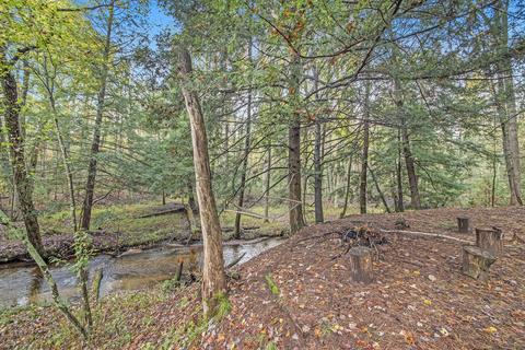 3864 Us 10, Chase, MI 49623 photo 29