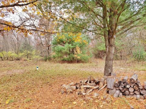 1477 Clinton Ln, White Cloud, MI 49349 photo 29