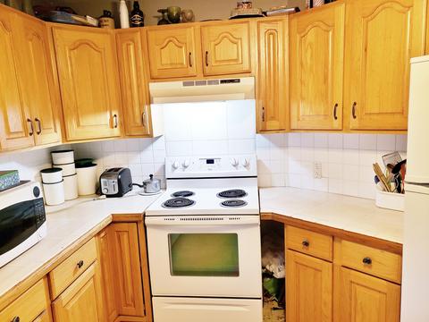 1477 Clinton Ln, White Cloud, MI 49349 photo 8