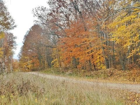 1477 Clinton Ln, White Cloud, MI 49349 photo 35
